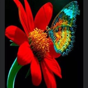 Meet your Posher, Connie